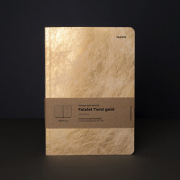 картинка Блокнот для записей Falafel Twist gold А5 в линию от магазина Молескинов