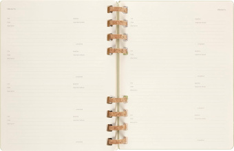 картинка Академический планировщик Moleskine Spiral 2024, XLarge (19x25 см), киви от магазина Молескинов