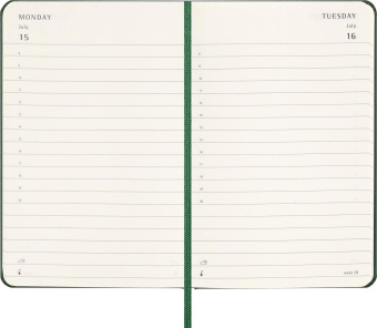 картинка Ежедневник Moleskine Classic 2024, Pocket (9x14 см), зеленый от магазина Молескинов