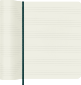 картинка Записная книжка Moleskine PRECIOUS & ETHICAL, XLarge (19x25 см), зеленый, в линию, в упаковке от магазина Молескинов
