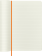 картинка Записная книжка Moleskine PRECIOUS & ETHICAL, Large (13x21 см), оранжевый, в линию, в упаковке от магазина Молескинов