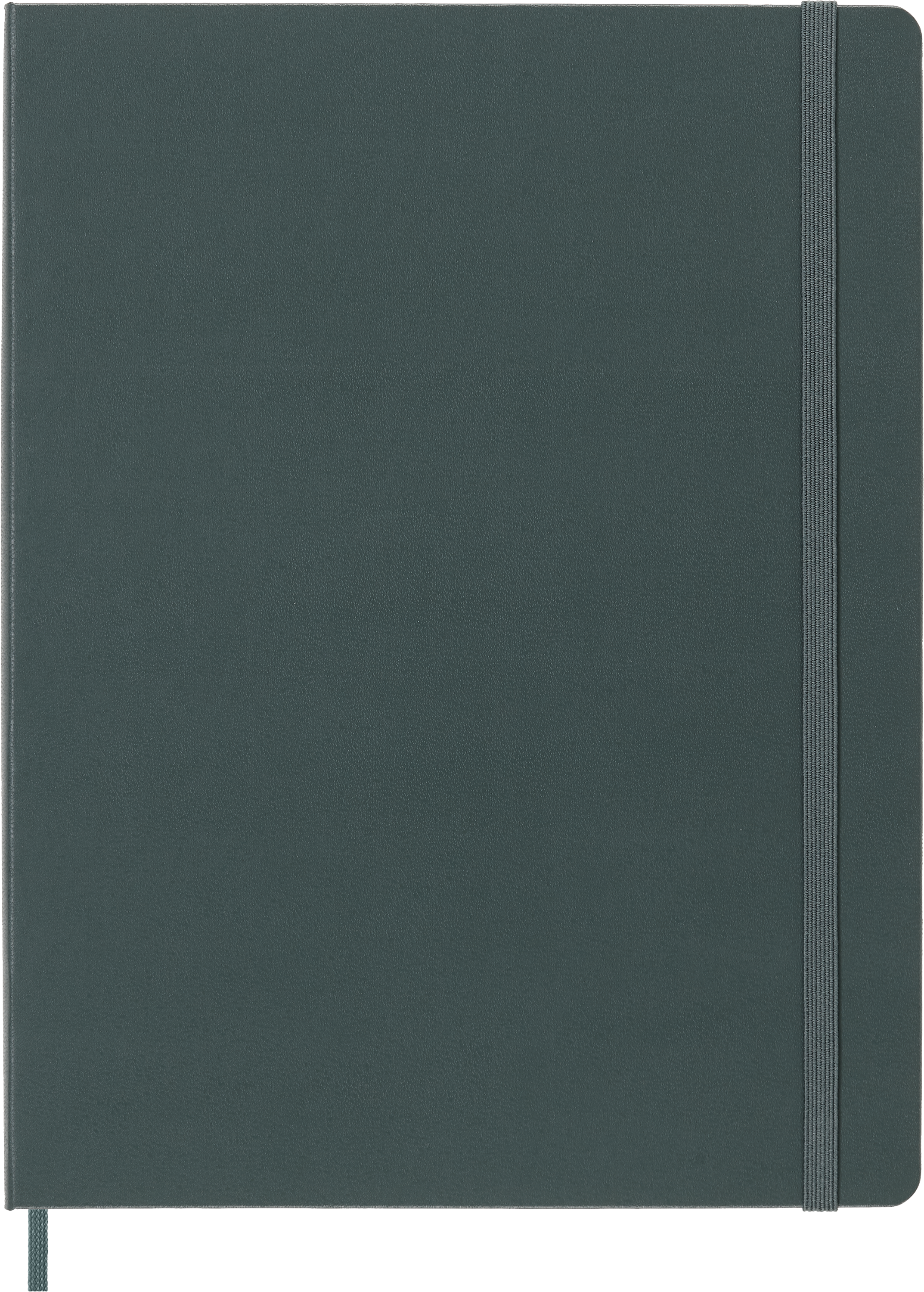 картинка Записная книжка Moleskine Professional, XLarge (19х25см), зеленый лес от магазина Молескинов