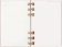 картинка Еженедельник Moleskine Spiral 2026, Large (13x21 см), миндаль от магазина Молескинов