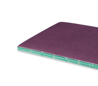 картинка Записная книжка Moleskine Chapters (в линейку), Slim Large (11,5x21см), фиолетовая от магазина Молескинов