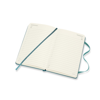 картинка Ежедневник Moleskine Classic (2020), Pocket (9x14 см), зелёный от магазина Молескинов