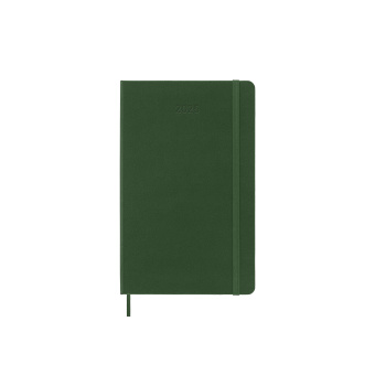 картинка Еженедельник Moleskine Classic 2025, Large (13x21 см), зеленый от магазина Молескинов