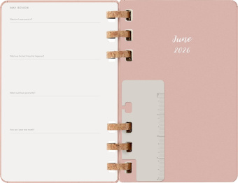 картинка Еженедельник Moleskine Spiral 2026, Large (13x21 см), миндаль от магазина Молескинов