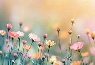 Короткий день 6 марта