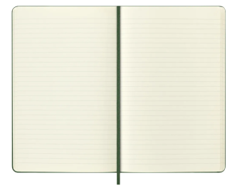 картинка Записная книжка Moleskine Holiday (в линейку), Large (13х21см), зеленая от магазина Молескинов