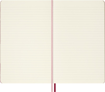 картинка Записная книжка Moleskine Limited Edition Sakura, Large (13x21см), в линию, (без подарочной упаковки) от магазина Молескинов