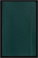 Записная книжка Moleskine PRECIOUS & ETHICAL, Large (13x21 см), зеленый, в линию, в упаковке