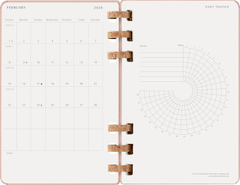 картинка Еженедельник Moleskine Spiral 2026, Large (13x21 см), миндаль от магазина Молескинов