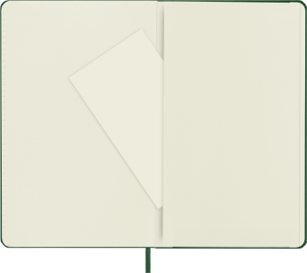 картинка Записная книжка Moleskine Classic (в клетку), Large (13х21см), твердая обложка, зеленая от магазина Молескинов