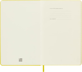картинка Ежедневник Moleskine Classic 2023, Large (13x21 см), лайм от магазина Молескинов