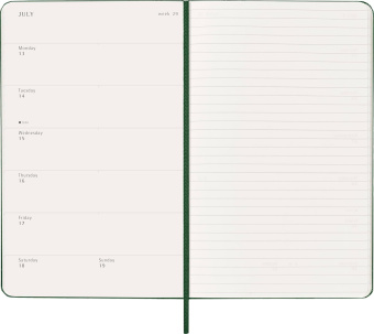 картинка Еженедельник Moleskine Classic 2026, Large (13x21 см), зеленый от магазина Молескинов