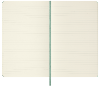 картинка Записная книжка Moleskine Classic с цветным узором (в линейку), Large (13х21см), шалфейно-зелёный от магазина Молескинов