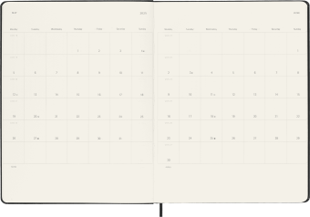картинка Еженедельник Moleskine Classic (2024-2025), XLarge (19x25 см), черный от магазина Молескинов
