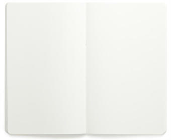картинка Записная книжка Moleskine Volant (нелинованная, 2 шт.), XLarge (19х25см), красная от магазина Молескинов