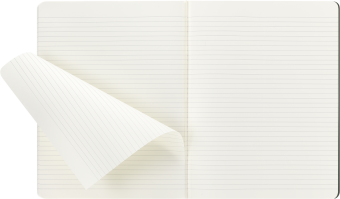 картинка Записная книжка Moleskine Student Cahier (в линейку), XXL/A4 (22x28см), мягкая обложка, зеленая от магазина Молескинов