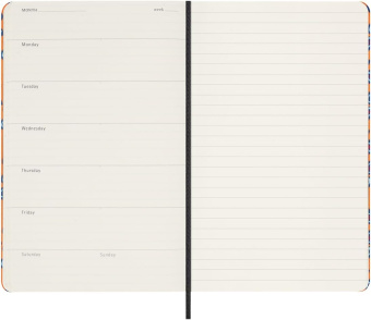 картинка Еженедельник недатированный Moleskine Limited Edition Silk, в линейку, Large (13х21см), оранжевый от магазина Молескинов