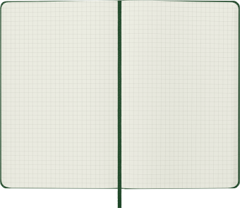 картинка Записная книжка Moleskine Classic (в клетку), Large (13х21см), твердая обложка, зеленая от магазина Молескинов