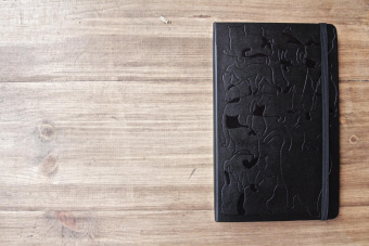 картинка Записная книжка Moleskine Passion Cat Journal, Large (13x21см), черная от магазина Молескинов