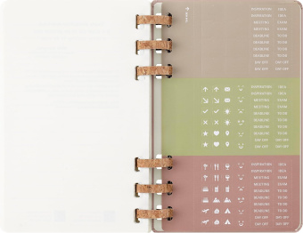 картинка Еженедельник Moleskine Spiral 2026, Large (13x21 см), миндаль от магазина Молескинов