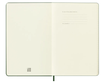 картинка Записная книжка Moleskine Holiday (в линейку), Large (13х21см), зеленая от магазина Молескинов