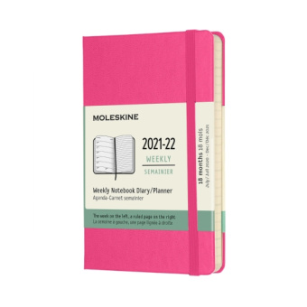 картинка Еженедельник Moleskine Classic (2021), Pocket (9x14 см), светло-розовый от магазина Молескинов
