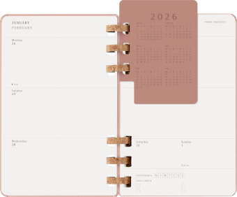 картинка Еженедельник Moleskine Spiral 2026, Large (13x21 см), миндаль от магазина Молескинов