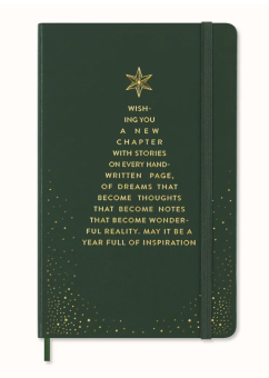картинка Записная книжка Moleskine Holiday (в линейку), Large (13х21см), зеленая от магазина Молескинов