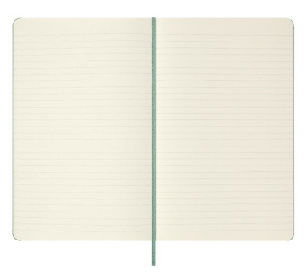 картинка Записная книжка Moleskine Classic с цветным узором  (нелинованный), Large (13х21см), шалфейно зеленый от магазина Молескинов