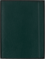 Записная книжка Moleskine PRECIOUS & ETHICAL, XLarge (19x25 см), зеленый, в линию, в упаковке