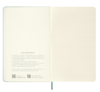 картинка Записная книжка Moleskine Classic с цветным узором  (нелинованный), Large (13х21см), шалфейно зеленый от магазина Молескинов