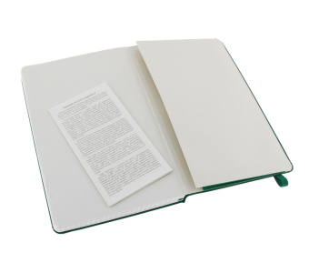 картинка Записная книжка Moleskine Classic (в клетку), Large (13х21см), зеленая от магазина Молескинов
