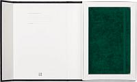 Записная книжка Moleskine LIMITED EDITION VELVET, Large (13х21 см), в линию, зеленый, в подарочной коробке