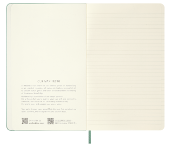 картинка Записная книжка Moleskine Classic с цветным узором (в линейку), Large (13х21см), шалфейно-зелёный от магазина Молескинов