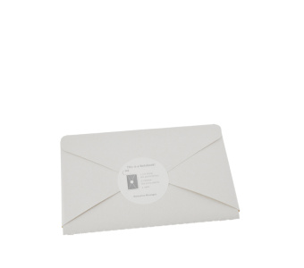 картинка Почтовый набор Moleskine Note Card (с конвертом), Large (11,5х17,5см), белый крафт от магазина Молескинов