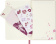 картинка Записная книжка Moleskine Limited Edition Sakura, Large (13x21см), в линию, (без подарочной упаковки) от магазина Молескинов