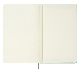 картинка Записная книжка Moleskine Classic с цветным узором  (нелинованный), Large (13х21см), шалфейно зеленый от магазина Молескинов