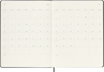картинка Еженедельник 18 месяцев  Moleskine Classic (2026-2027), XLarge (19x25 см), черный от магазина Молескинов
