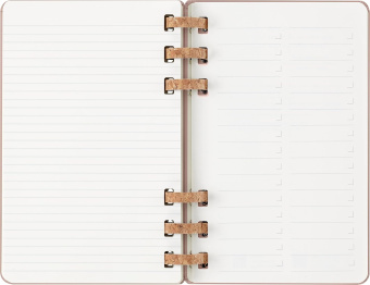 картинка Еженедельник Moleskine Spiral 2026, Large (13x21 см), миндаль от магазина Молескинов