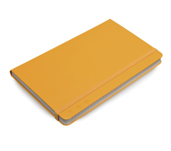 картинка Записная книжка Moleskine Professional, Large (13х21см), желтый от магазина Молескинов