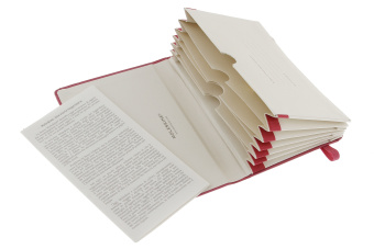 картинка Записная книжка Moleskine Portfolio (с кармашками), Pocket (9х14см), розовая от магазина Молескинов