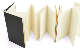 картинка Записная книжка Moleskine Japanese Album (в японском стиле), Large (13x21см), черная от магазина Молескинов