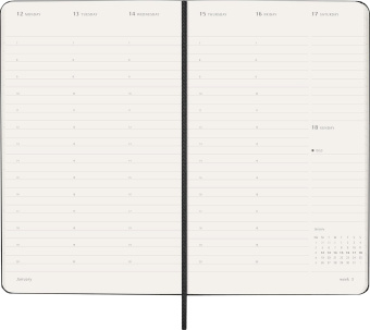 картинка Еженедельник Moleskine Professional 2026 (верт.), Large (13x21 см), черный от магазина Молескинов