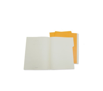 картинка Папка с файлами Moleskine Folio, А4, оранжевая от магазина Молескинов