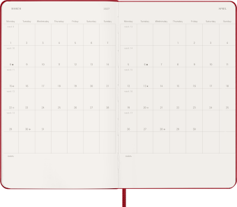 картинка Еженедельник 18 месяцев Moleskine Classic ( 2026-2027),  Large (13x21 см),   красный от магазина Молескинов