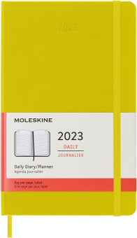 картинка Ежедневник Moleskine Classic 2023, Large (13x21 см), лайм от магазина Молескинов