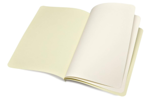 картинка Набор почтовый Moleskine Large (11,5х17,5см), 'Note Card', пастельный зелёный от магазина Молескинов